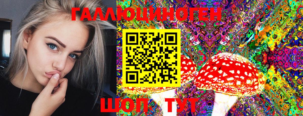 Гулькевичи  Галлюциногенные грибы мицелий  где продают   Вход с VPN 